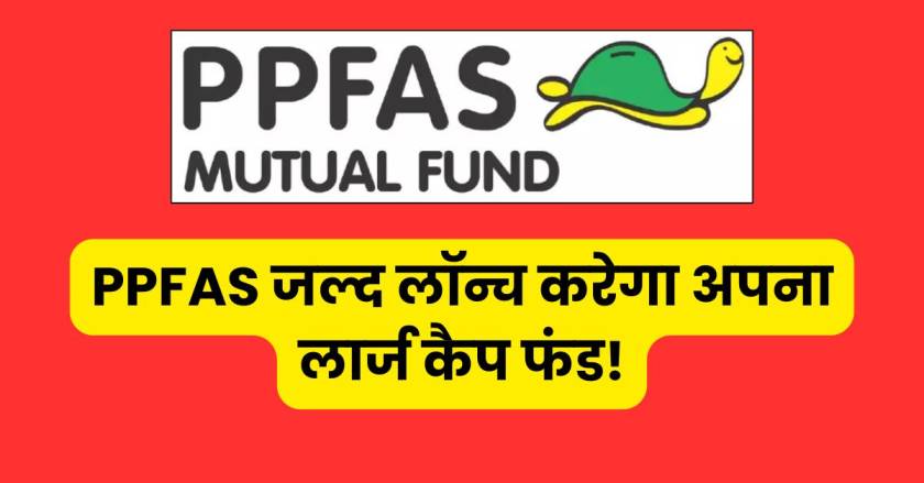 Parag Parikh Large Cap Fund