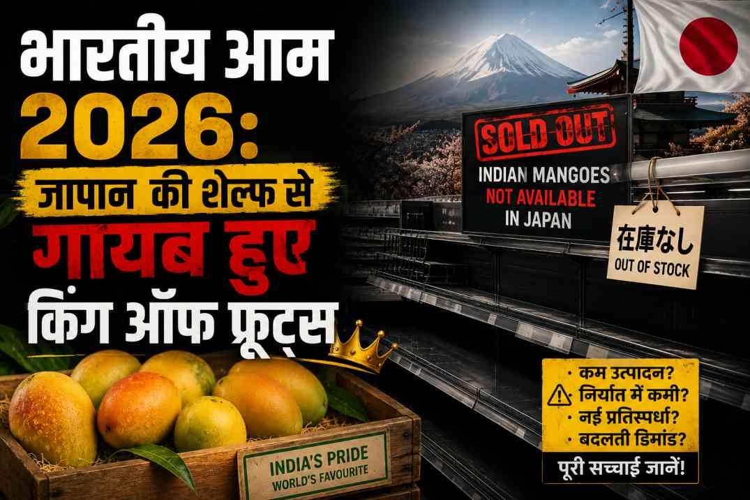 indian mango 2026
